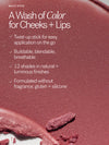 The Lip + Cheek Trio