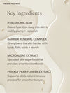 The Skincare + SPF 50 Duo