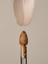 Skin Blur Serum Concealer